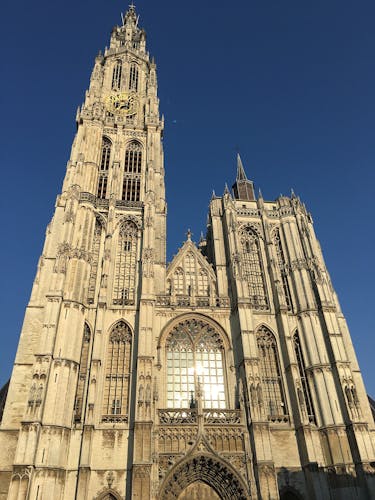 Customized private guided tour in Antwerp