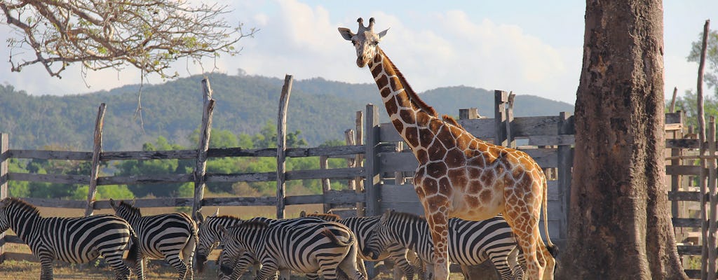 Całodniowe safari Coron Calauit z wycieczką po Czarnej Wyspie