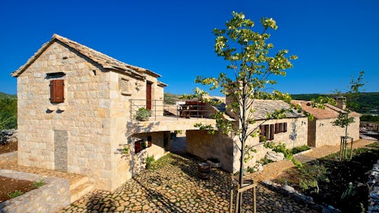 Guided tour of Stella Croatica and olive oil tasting