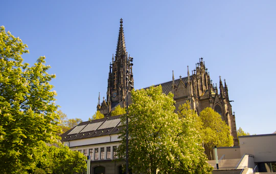 Exclusive private guided tour through the history of Basel with a local