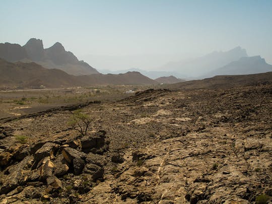 Tour pela cidade de Ras Al Khaimah saindo de Fujairah