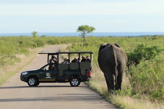 Safari grupal compartido de 3 días por el Parque Nacional Kruger