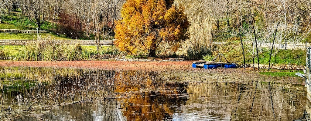 Biglietto d'ingresso ai Giardini Botanici di Gerusalemme con trasferimento