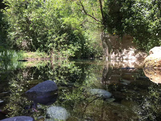 Visita guidata alla Riserva Naturale di Pantalica