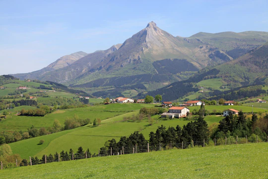 Idiazabal Basque cheese tour from San Sebastian