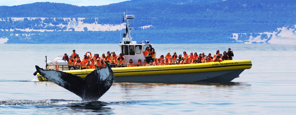 Tadoussac cruise om walvissen te spotten op een zodiac-boot