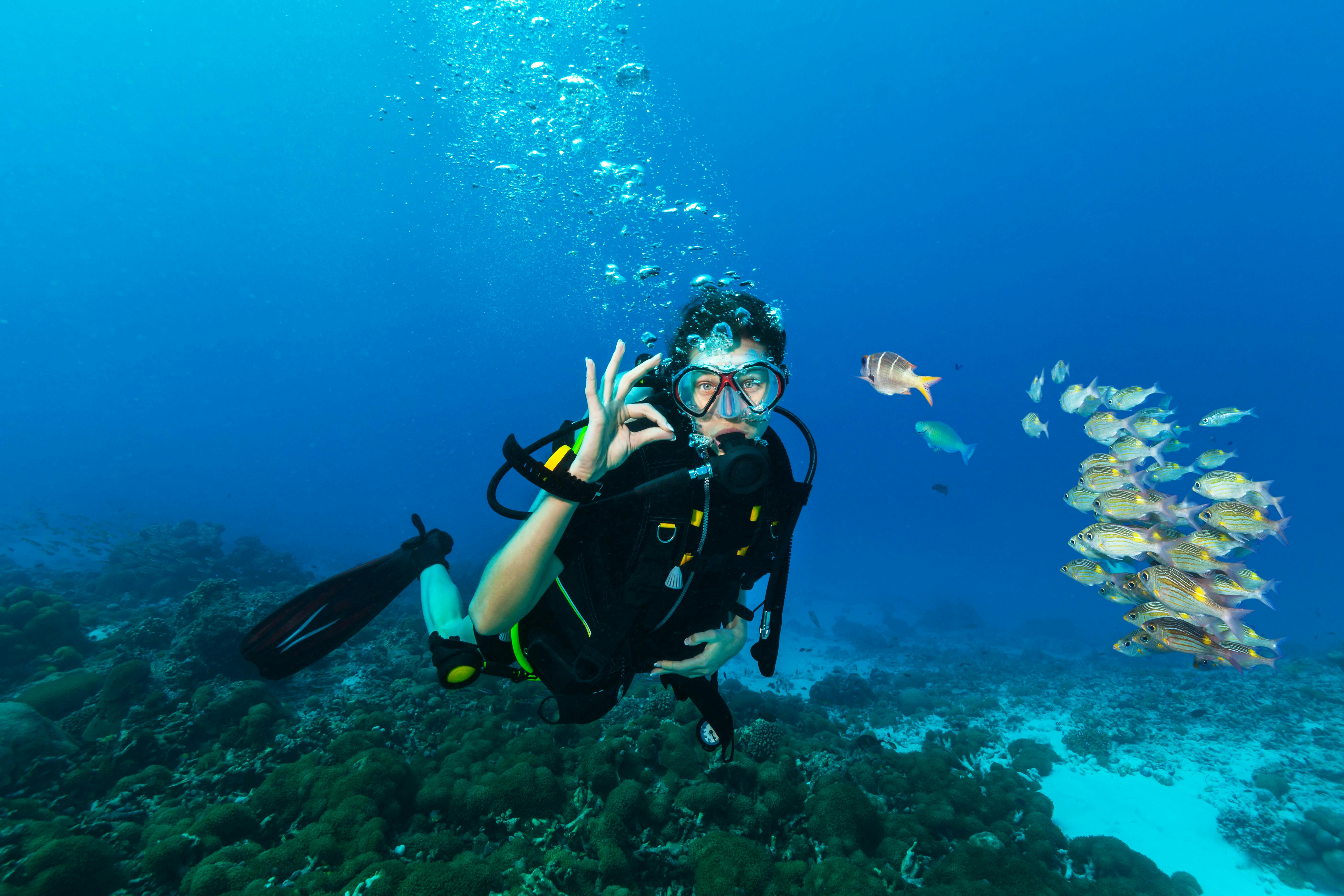 Diving package from RIU Atoll and Palace Maldivas Musement