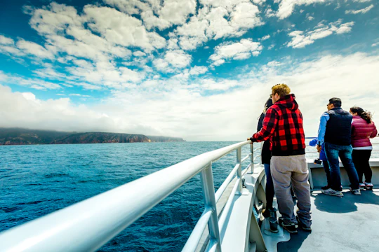 Wineglass Bay Cruise with Vista Lounge access