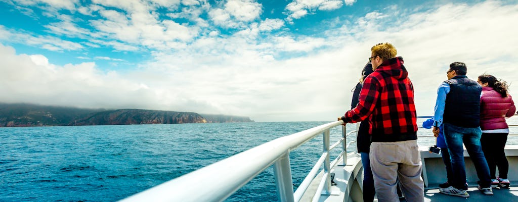 Wineglass Bay Cruise mit Zugang zur Vista Lounge