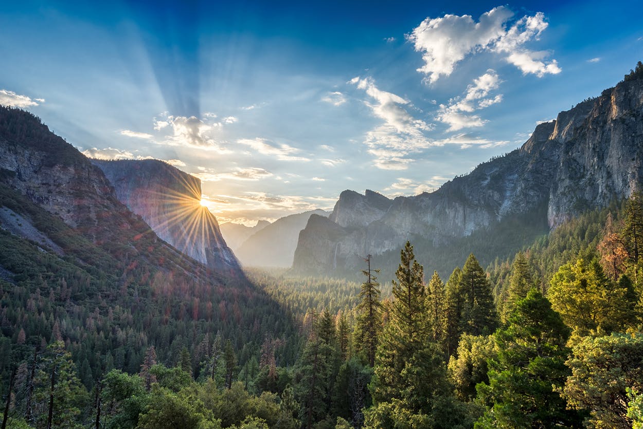 Yosemite nationalpark heldagstur