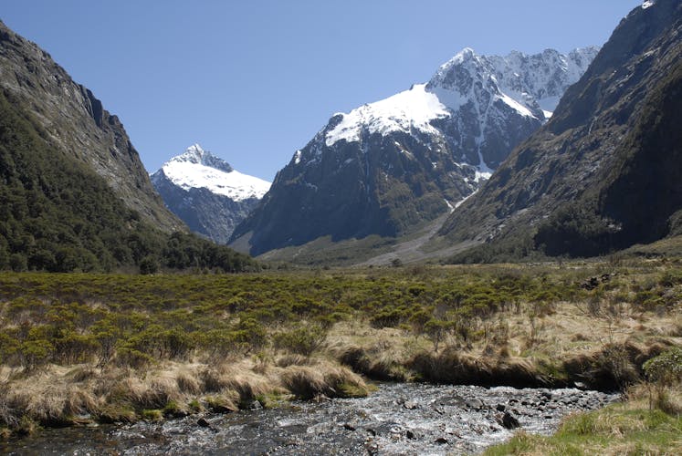 Milford Sound coach tour and day cruise experience