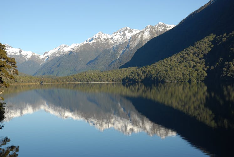 Milford Sound coach tour and day cruise experience