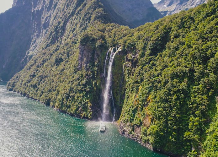 Milford Sound coach tour and day cruise experience