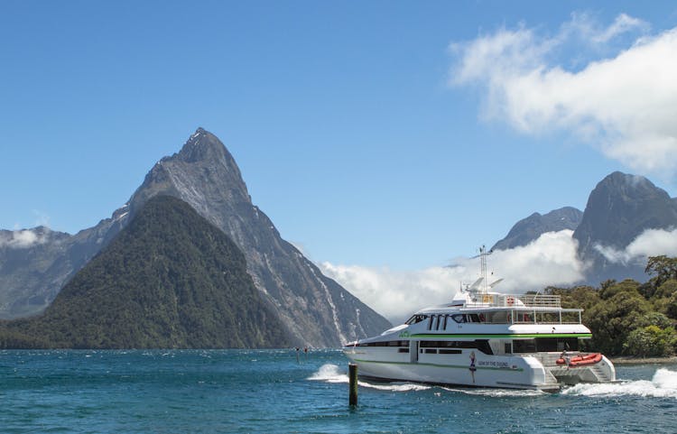 Milford Sound coach tour and day cruise experience