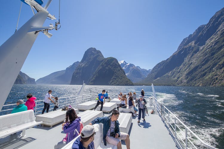 Milford Sound coach tour and day cruise experience