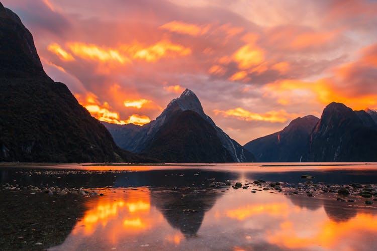 Milford Sound coach tour and day cruise experience