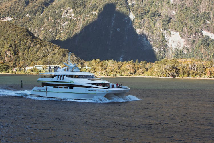 Milford Sound coach tour and day cruise experience