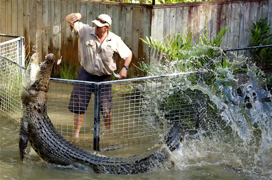 Aventures de crocodiles d'une demi-journée à Hartley