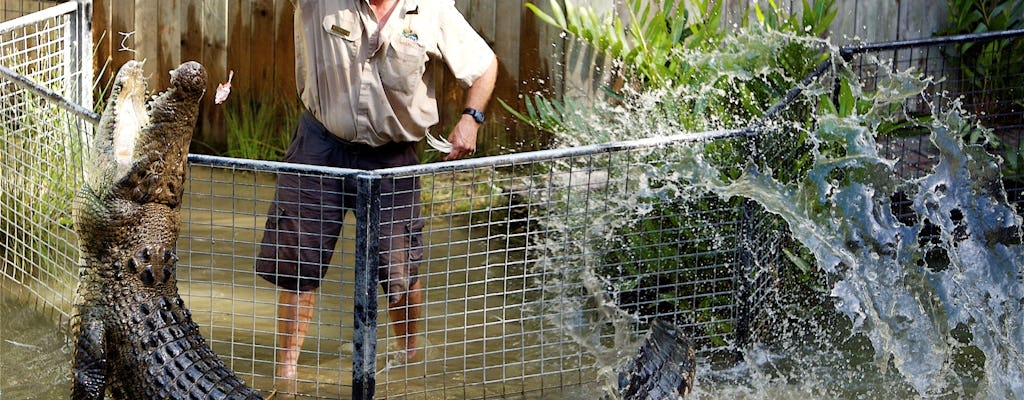 Aventures de crocodiles d'une demi-journée à Hartley