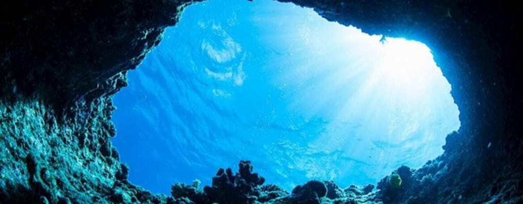 Cavernas, snorkeling e passeio de natação em Dubrovnik