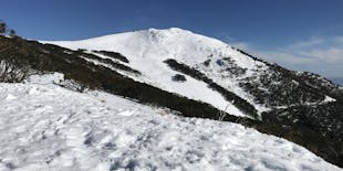 Mount Buller snow day tour
