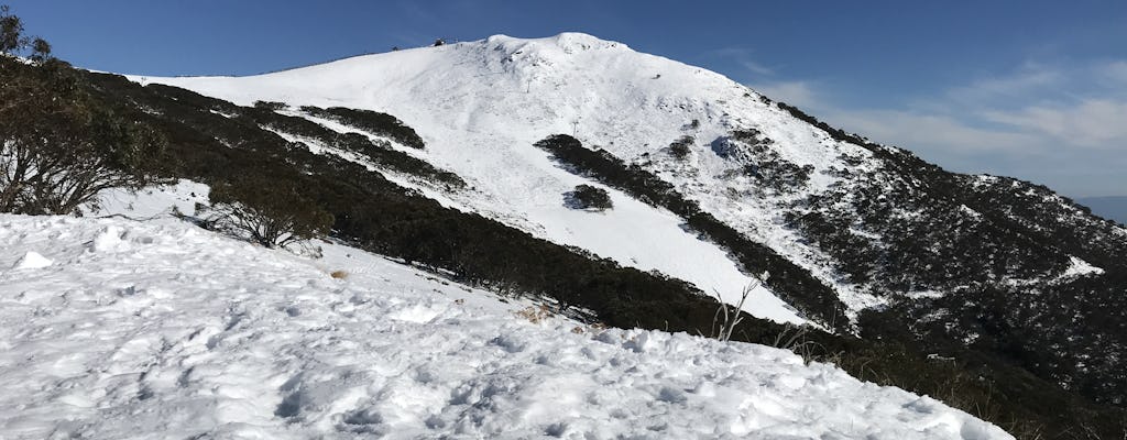 Excursion d'une journée sur la neige au mont Buller