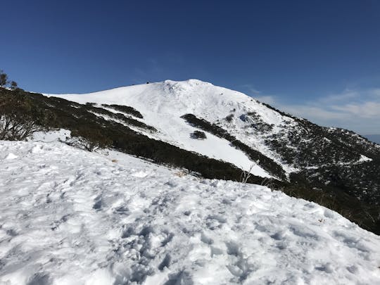 Tour de un día en la nieve del monte Buller