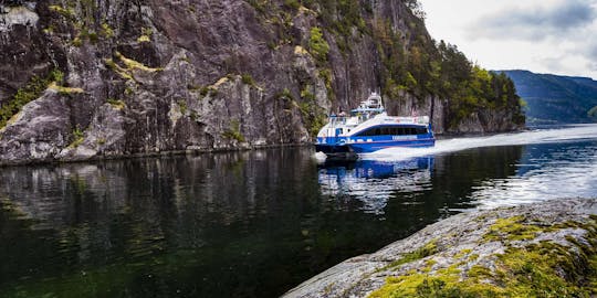 Mostraumen and Osterfjord half-day cruise