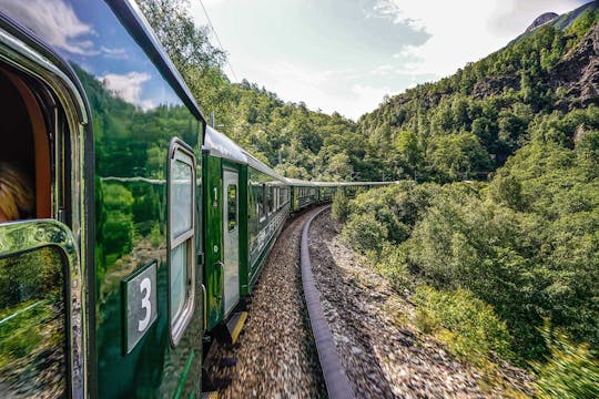 Self-guided day tour to Nærøyfjord in the Summer