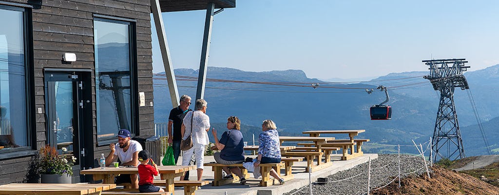 Zelfgeleide dagtocht naar Bergen via de Flåm-spoorweg en de Voss-gondel