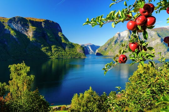 Visita guiada privada a Flåm e Nærøyfjorden