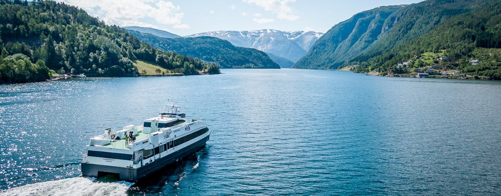 Privé dagtocht naar Hardanger