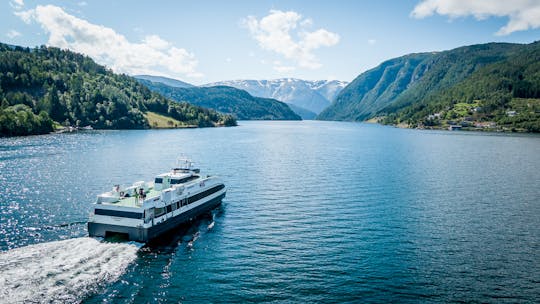 Privé dagtocht naar Hardanger