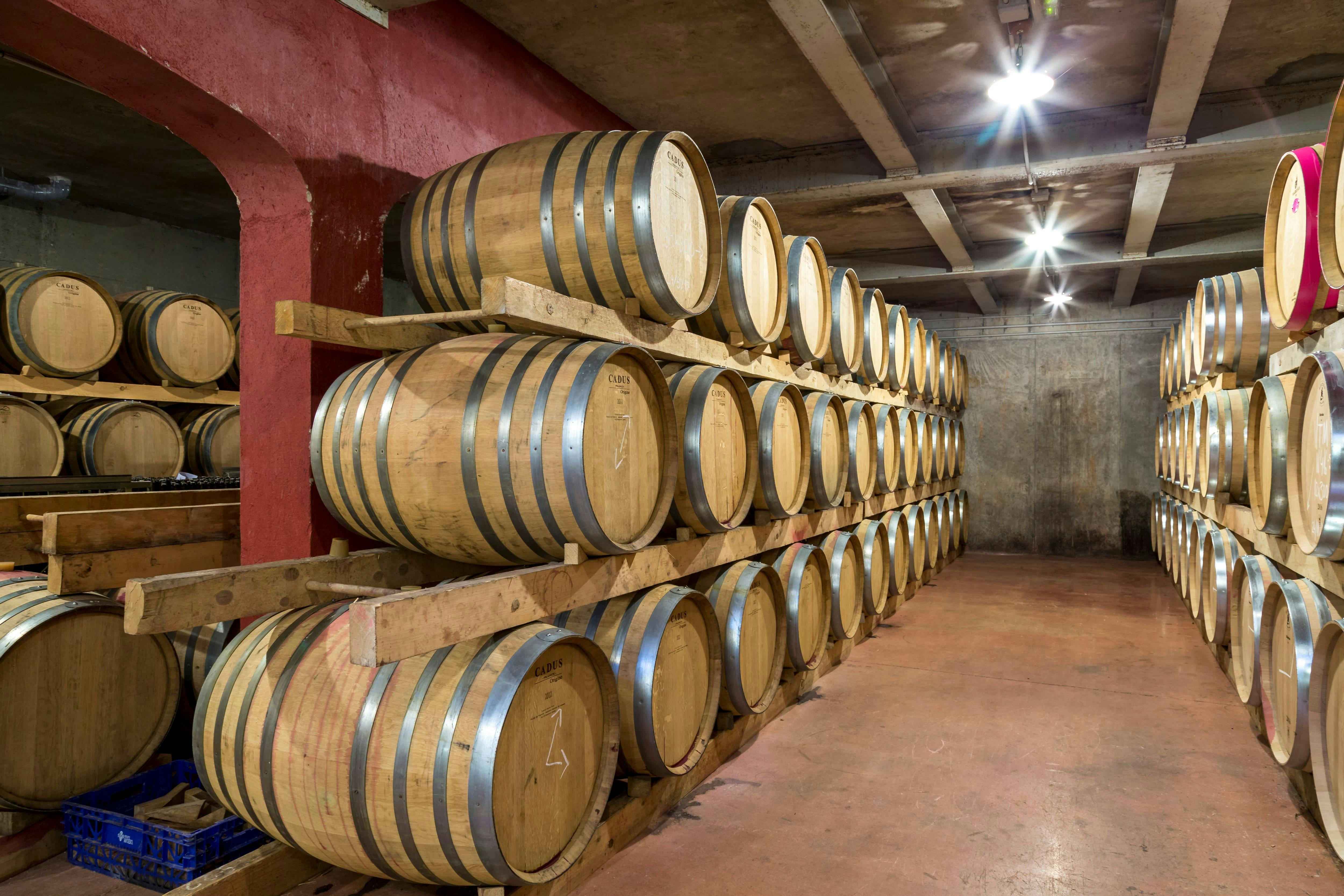 Macià Batle Winery Visit with Tasting