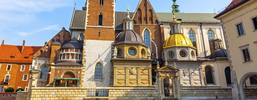 De Wawelkathedraal