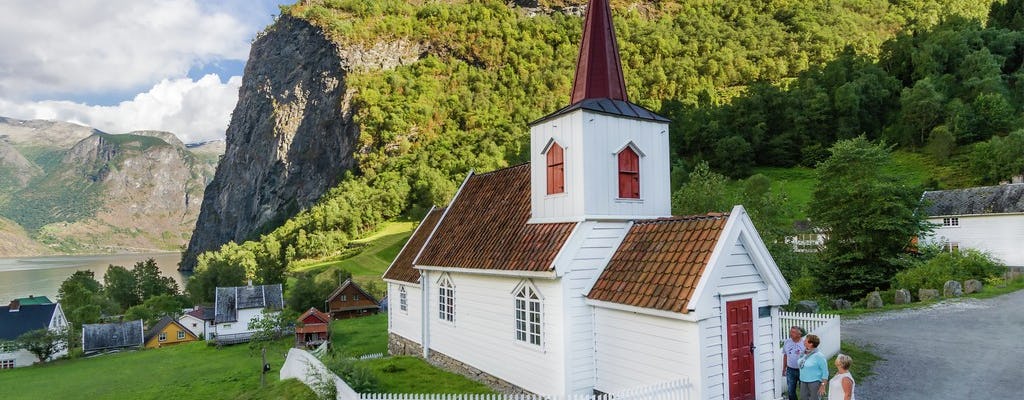 Tour de um dia privado a Undredal com um cruzeiro premium pelo fiorde e o mirante Stegastein