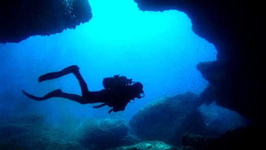 Tauch-Erlebnis für qualifizierte Taucher mit Blue Water Scuba