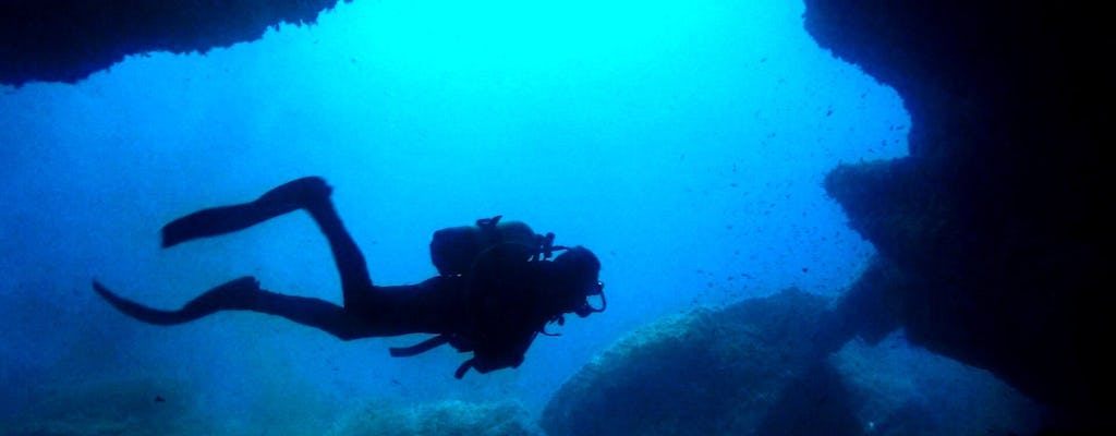 Diving with Blue Water Scuba for Qualified Divers