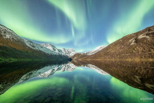 Tour dell'aurora boreale con un piccolo gruppo a Tromsø