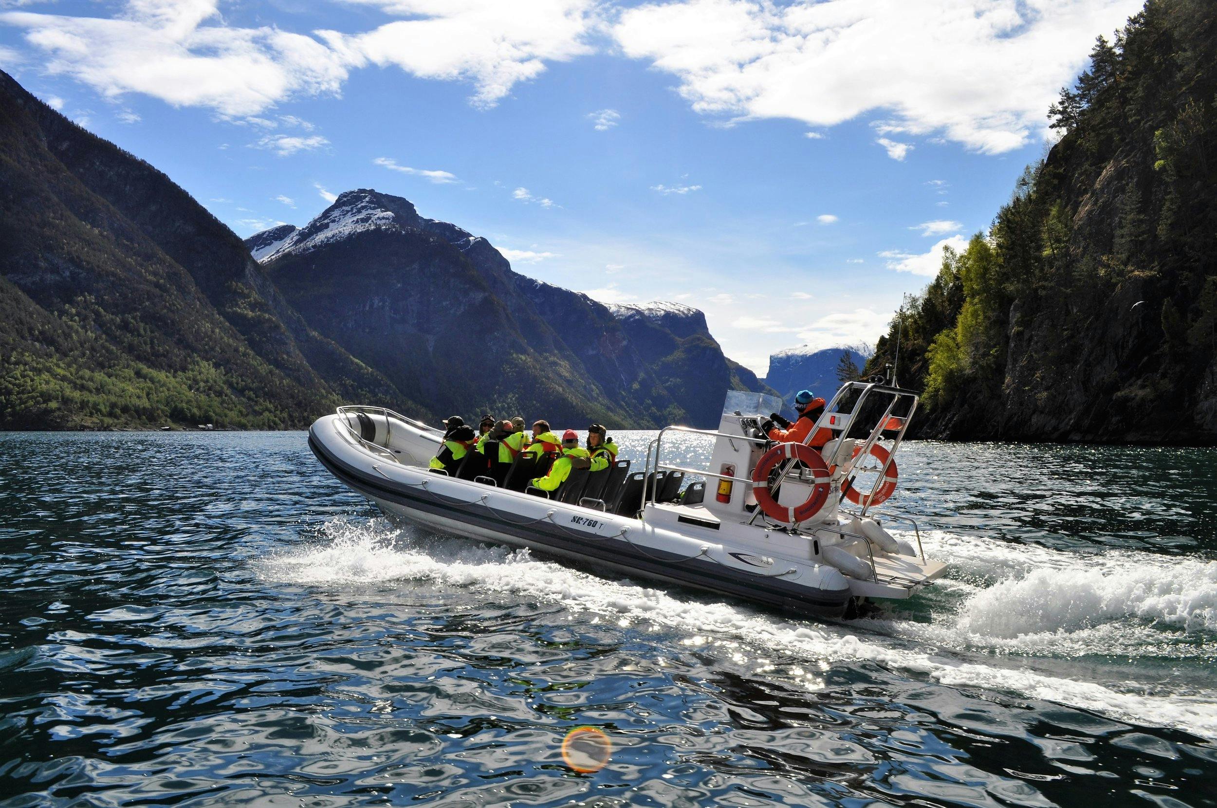 Visite guidée privée d'une journée à Sognefjorden et Flåm avec un safari dans le fjord