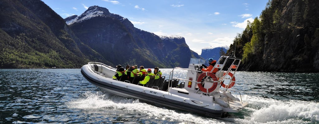 Visite guidée privée d'une journée à Sognefjorden et Flåm avec un safari dans le fjord