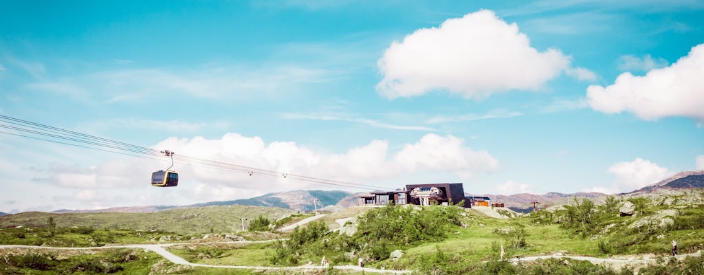 Privédagtocht naar Voss met de Voss-gondel en lunch op Mount Hanguren