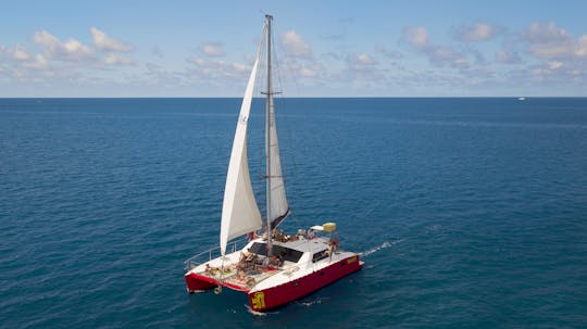 Tongarra Whitsundays 2 dni 2 noce żeglarska przygoda