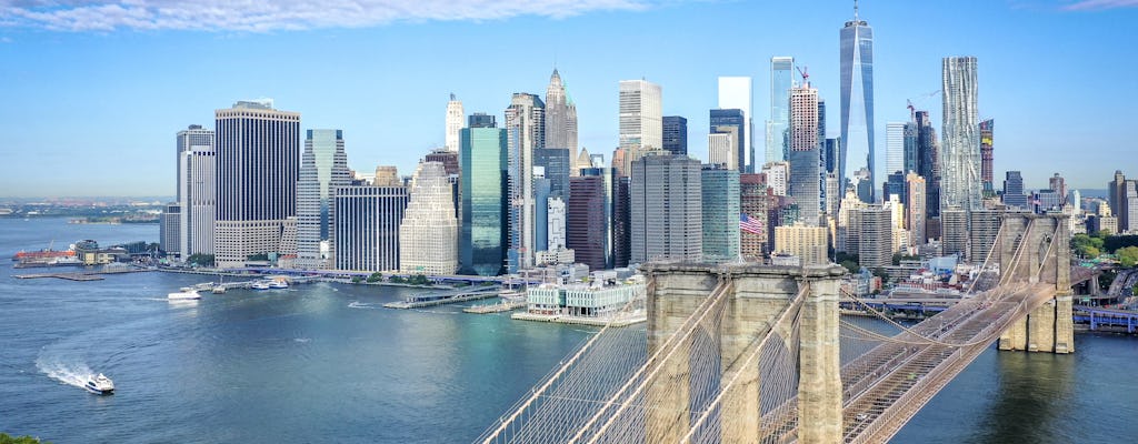 New York Growing Up: Lower Manhattan and Midtown private walking tour