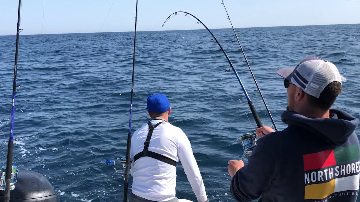 Pêche sportive privée dans le Bassin d'Arcachon