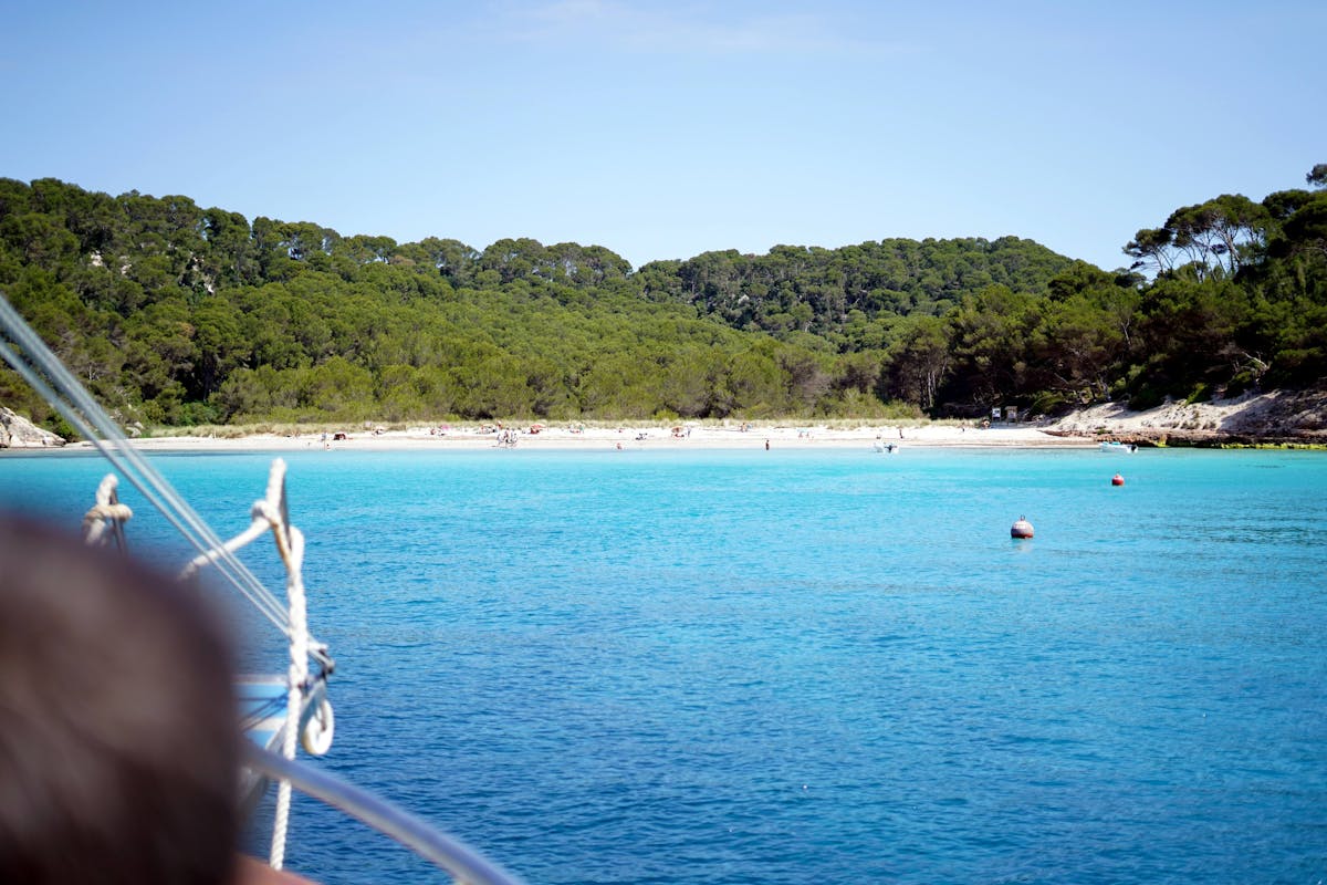 Amigos Boat Trips
