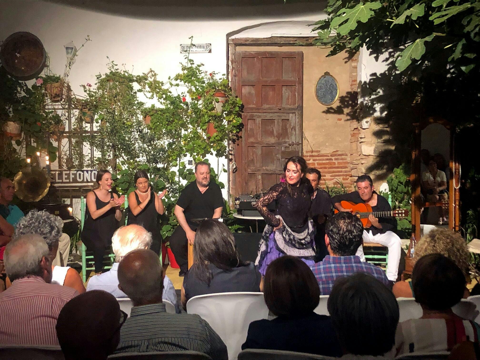 Vive Ayamonte Flamenco Show Ticket with Tapas