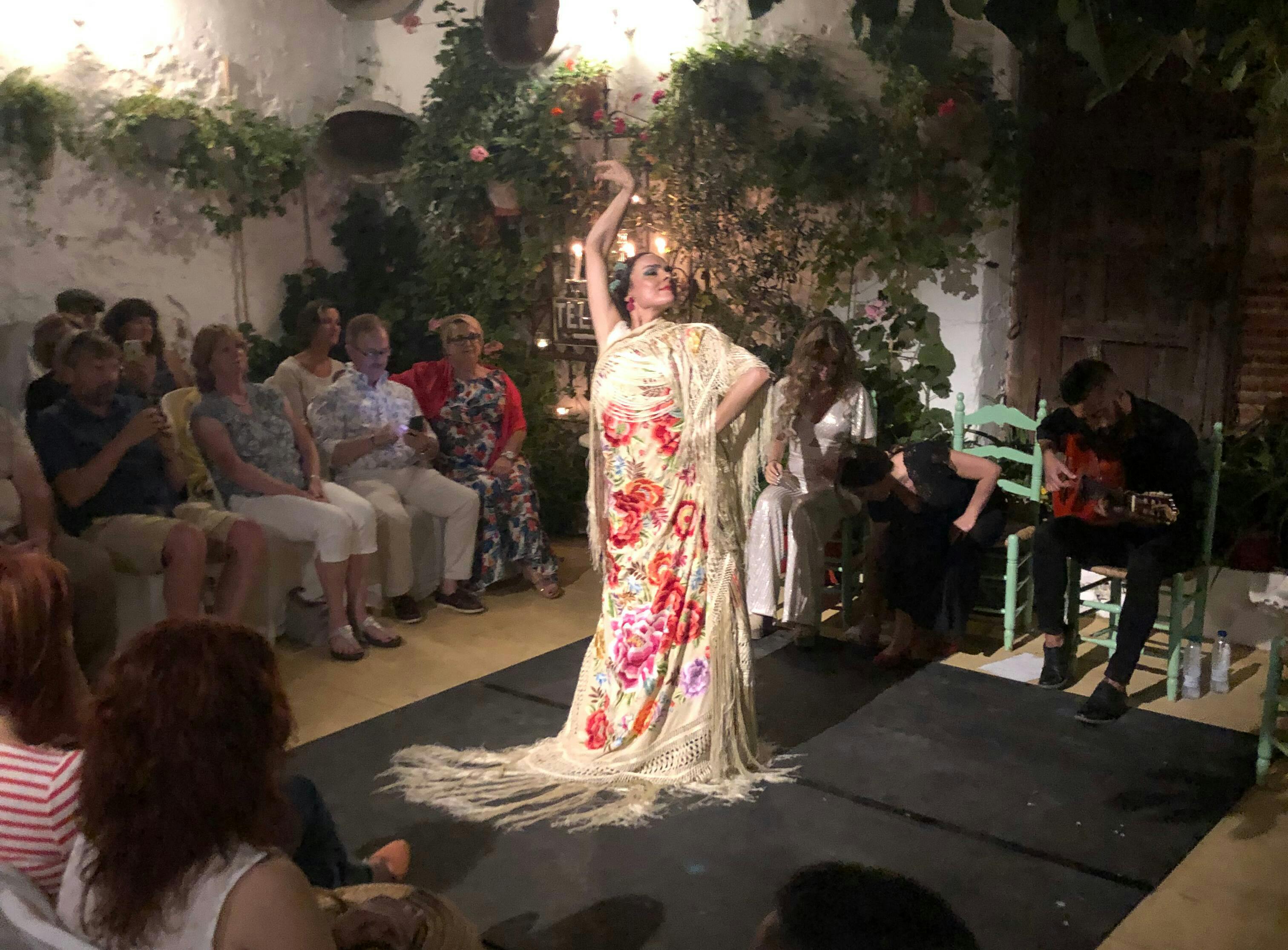 Vive Ayamonte Flamenco Show Ticket with Tapas