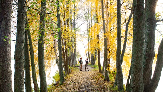 Tour de día completo por el Parque Nacional Liesjärvi