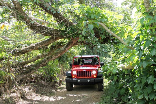 Punta Cana Safari 4x4 z tyrolką